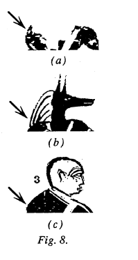 Ashment -Figure 8 (a), (b), and (c)