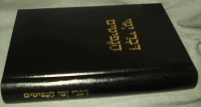Hebrew Translation Of The Book Of Mormon